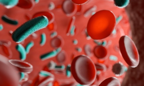 Imagen: El panel QIAstat-Dx BCID GPF Plus AMR con certificación CE-IVDR identifica 20 dianas bacterianas y fúngicas grampositivas y 10 marcadores de resistencia a los antimicrobianos directamente a partir de hemocultivos y colonias positivas en aproximadamente una hora (fotografía cortesía de Adobe Stock)